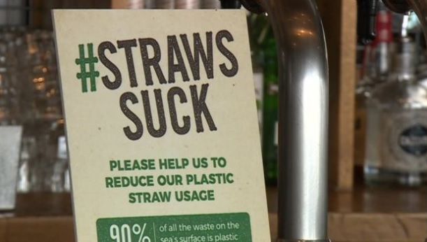 Poster for the campaign Straws Suck asking for support to reduce plastic straw usage