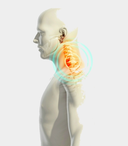 Model of a male torso indicating pain experienced at the base of the neck