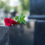 Grief And Bereavement Week 13-17 December 2021